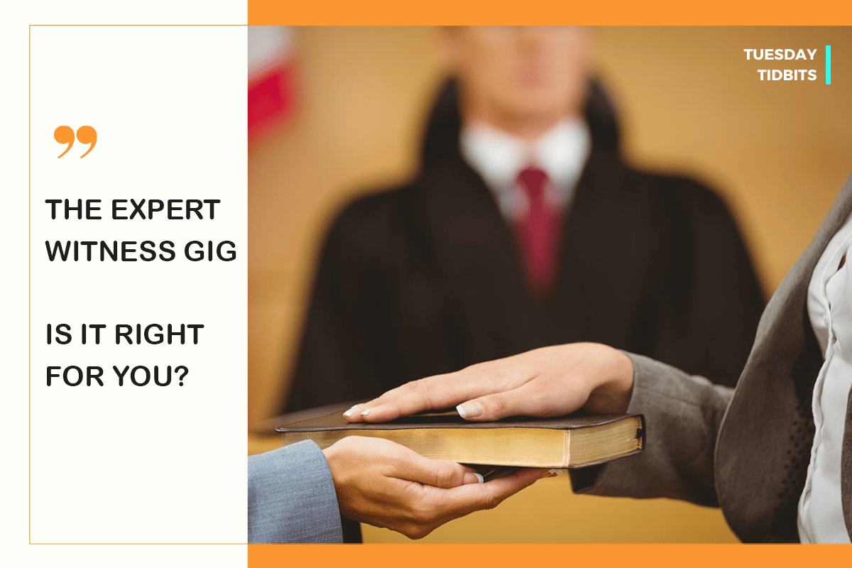 Tuesday Tidbits The Expert Witness Gig Is it Right for you