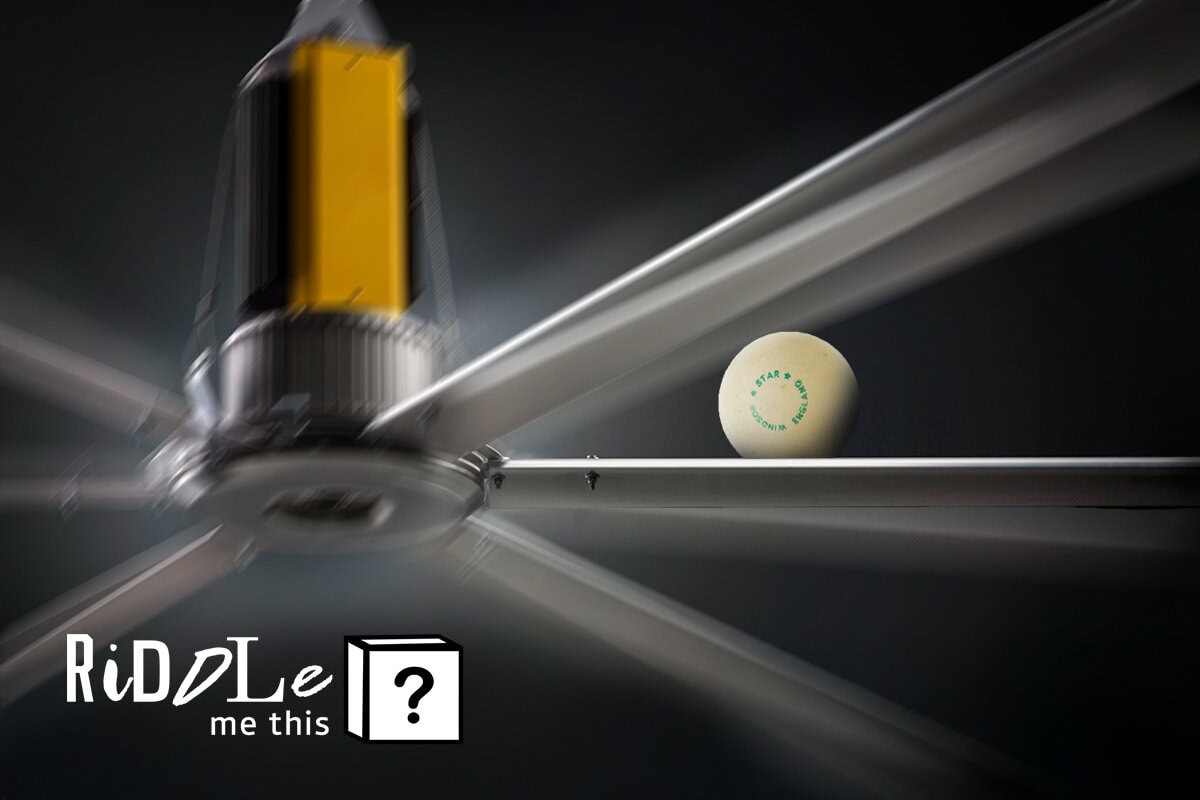 Fans and Ping Pong