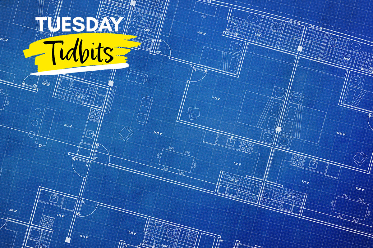 Why are Blueprints Called Blueprints - PEimpact